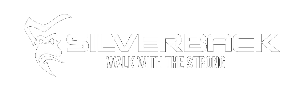 Silverback Systems